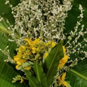 Koorai Poo bunch (Mango Leaves,Koorai Poo,Konna Poo)